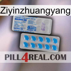 Ziyinzhuangyang new15